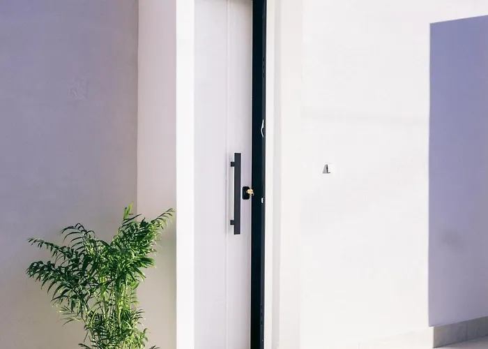 فيلة Arion Aegli *